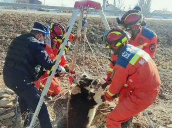 利用救援三腳架施救動物時該注意什么